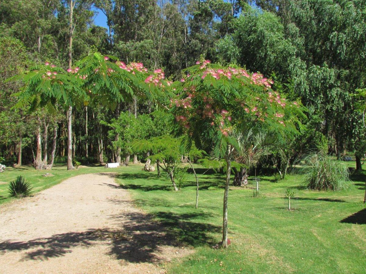 La Posta De La Laguna La Paloma Buitenkant foto